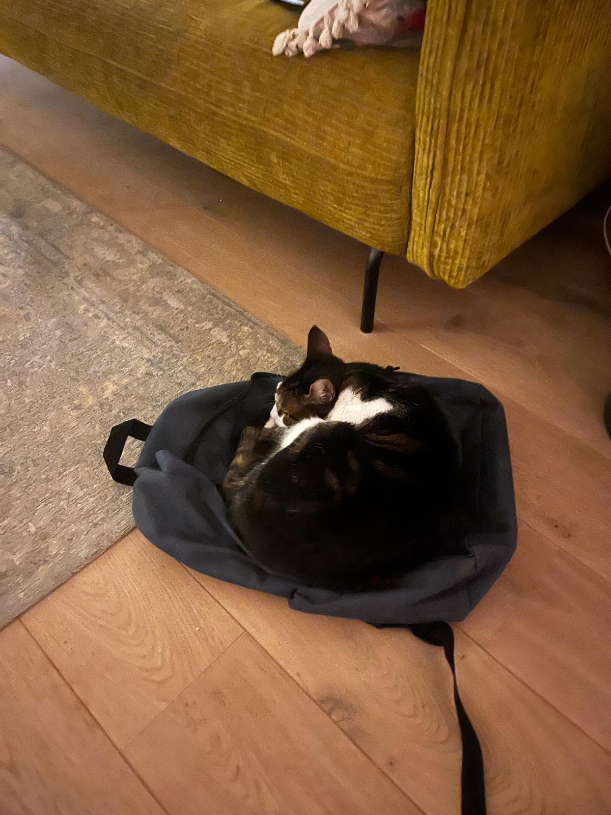 PHOTO-2025-03-15-08-57-18 10.JPG